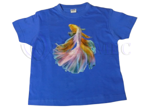 Нанесение принта на цветную одежду