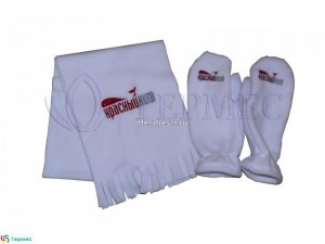 нанесение логотипа вышивкой на флисовом наборе