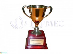 нанесение сублимации на шильд сувенира