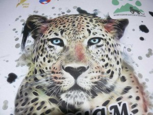 Полноцветная печать на футболках