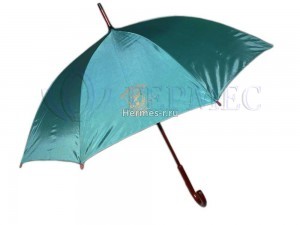 Зелёный зонт с логотипом